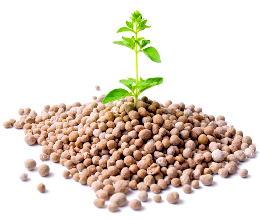 Green Soil Solution fertilizer